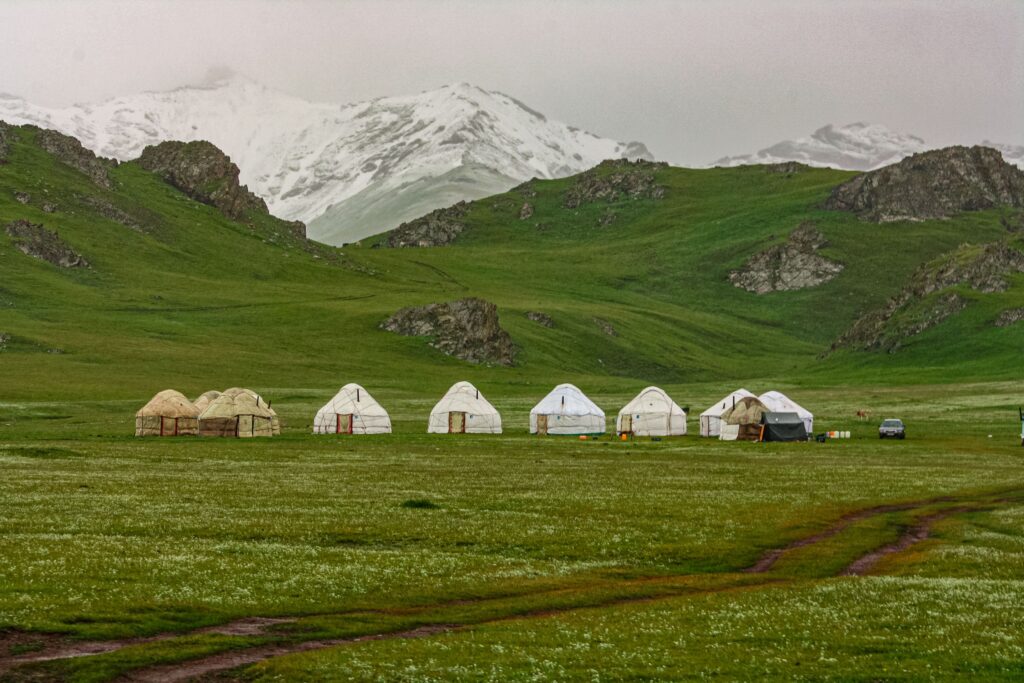 Yurt Camp