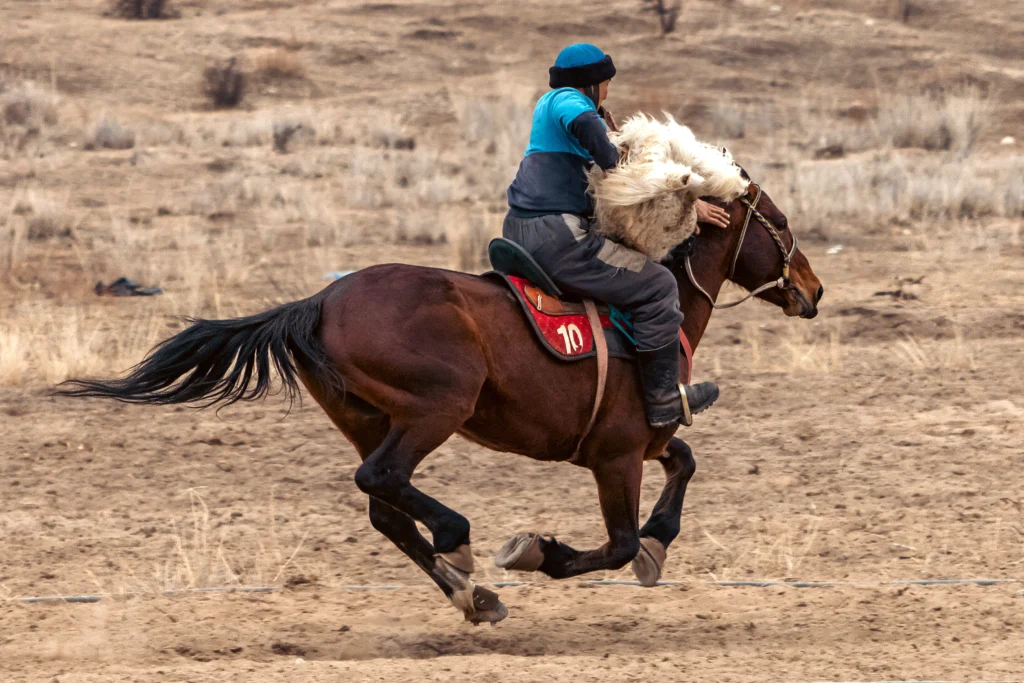 Kok-Boru Horse Game